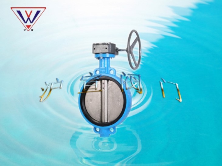 （全襯）蝸輪對夾襯膠蝶閥